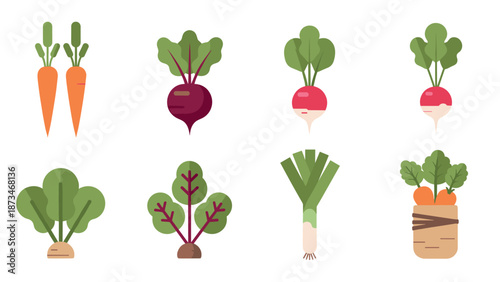 Colorful flat vegetables set featuring carrots, beets, radishes, and leeks