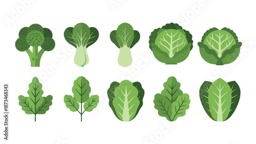 Flat design leafy greens set featuring various vegetables in a minimalist style
