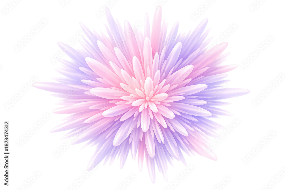 Fototapeta premium Colorful blooming abstract flower creating a soft burst of pastel pink and purple colors on transparent background