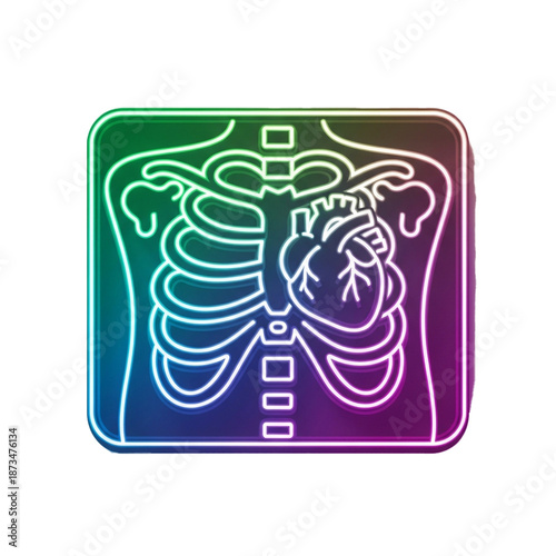 Human anatomy icon: colorful x-ray of ribcage and heart in modern style