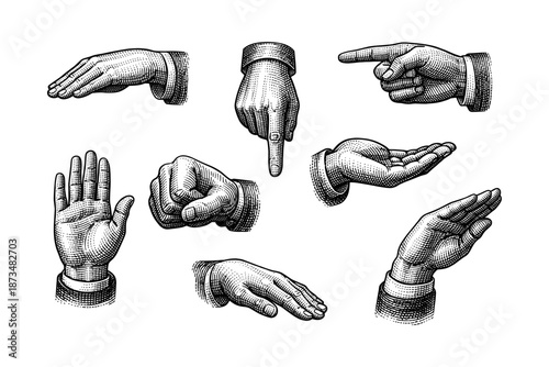Vintage engraving of diverse hand gestures in black and white