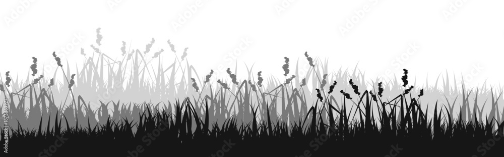 Naklejka premium Meadow silhouette with grass, plants on plain. Panoramic summer lawn landscape with herbs, various weeds. Herbal border, frame element. Black horizontal banners. Vector illustration