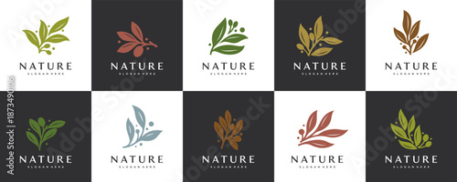 Collection of olive branch logos, symbols of purity, natural products, health and beauty, vector design templates.