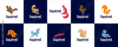 collection of rodent logos, clever squirrels, colorful style, symbol of agility, vector design template.