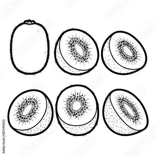 Black and white line art vector illustration set of kiwi fruit, showing whole fruit and various detailed cross-sections with seeds and fuzzy skin.