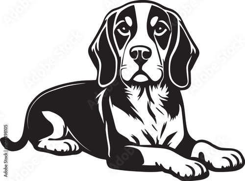 Beagle Dog Black and White Illustration