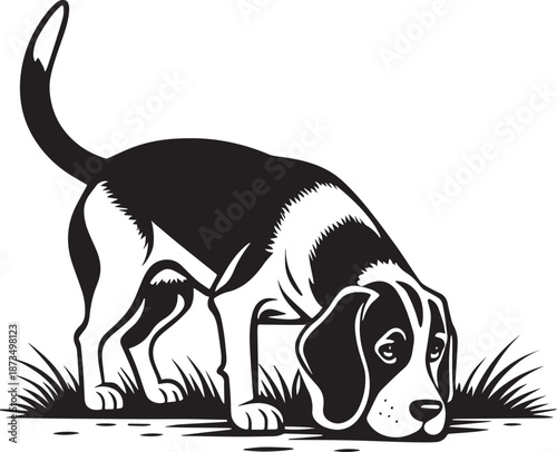 Beagle Dog Black and White Illustration
