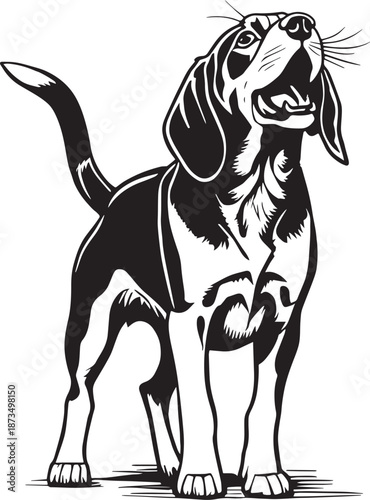 Beagle Dog Black and White Illustration