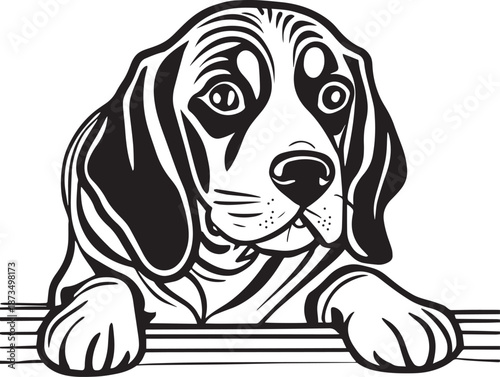 Beagle Dog Black and White Illustration