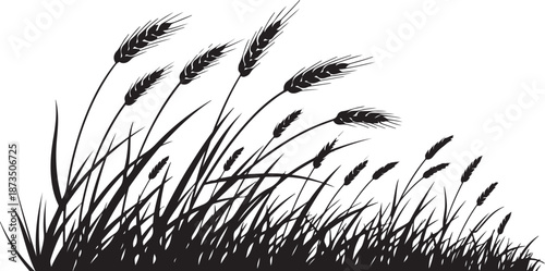 Black silhouette of wheat and grass on white background