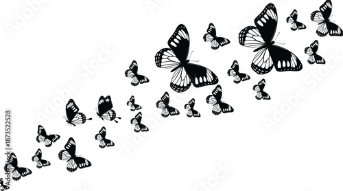 Black butterfly swarm silhouette flying in a group trail isolated on white background vector illustration for decorative wall art and design (22 words)