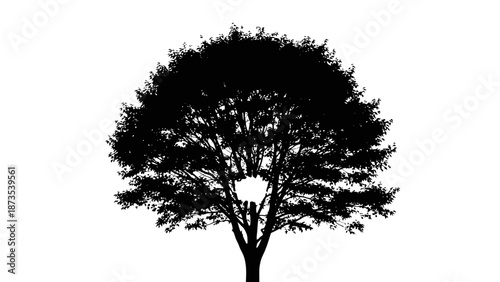 A majestic tree stands alone in a serene landscape, viewed from a distance.