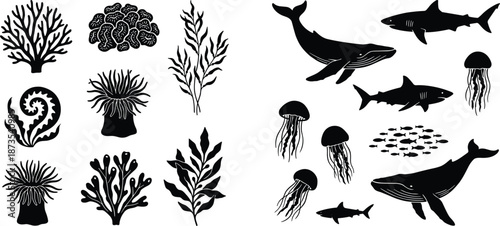 Marine life and underwater plant silhouette illustration, black design of ocean animals and seaweed, aquatic ecosystem concept, biodiversity grid