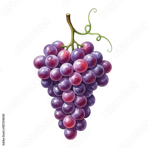 Wallpaper Mural Bunch of ripe red and purple grapes hanging from vine isolated on transparent background Torontodigital.ca