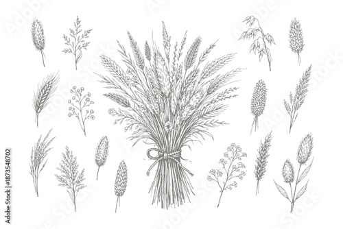Intricate botanical sketch of various grasses and wildflowers in bunches