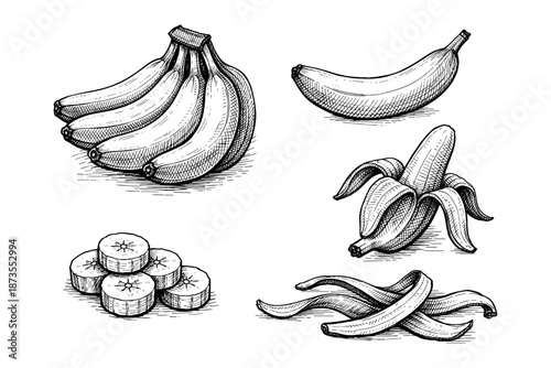 Hand-drawn banana illustrations: whole, sliced, peeled, and bunch