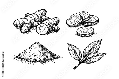 Hand-drawn ginger roots and leaves with slices and powder on white background