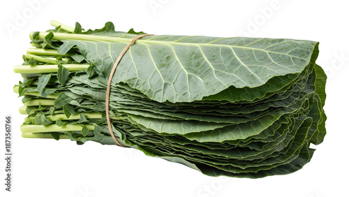 A bundle of fresh green leaves isolated on transparent background