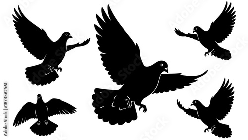 Tea Preparation Tools, Kitchen Utensils, Minimalist Design, Black and White