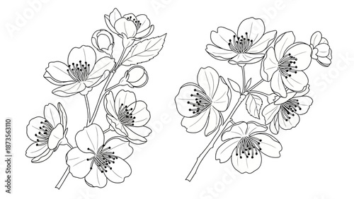 Rams and Goats in Black Silhouette Design