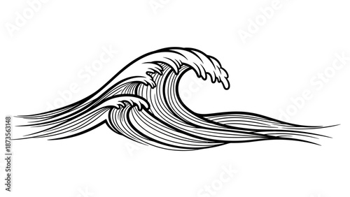 Botanical Illustration, Flower Branch, Nature, Artwork, Line Art