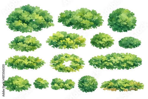 Various green watercolor bushes and shrubs on transparent background, natural foliage elements for landscape design
