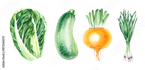 Watercolor Vegetable Set. Healthy Vegan Food. Perfect for packaging design, farmers market labels, menus and seasonal food projects