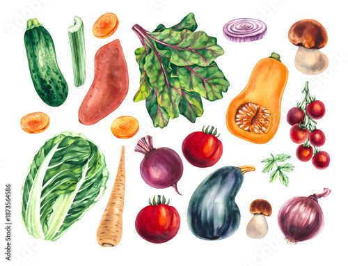 Watercolor set Vegetables. Vegetables isolated on a white background for kitchen design, textiles, restaurants, cafes, etc.