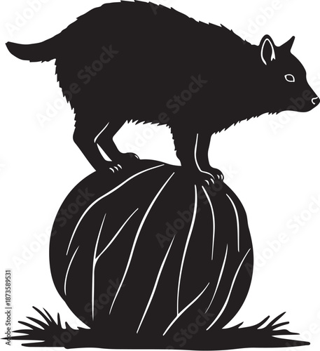 Black silhouette of a wombat on a pumpkin illustration