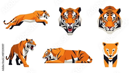 Tiger Collection: Dynamic Poses & Fierce Faces, Geometric Style