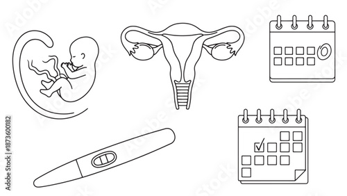 Professional reproductive health and maternity care icon set for clinical gynecology business services and prenatal medical insurance branding identity resources.