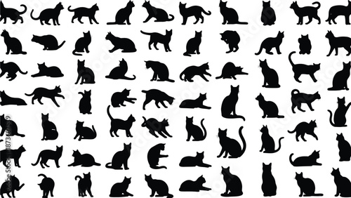 Animal silhouette collection representing wildlife domestic pets and diverse mammal creature species set