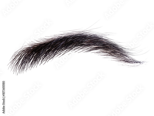 Isolated bushy eyebrow on transparent background