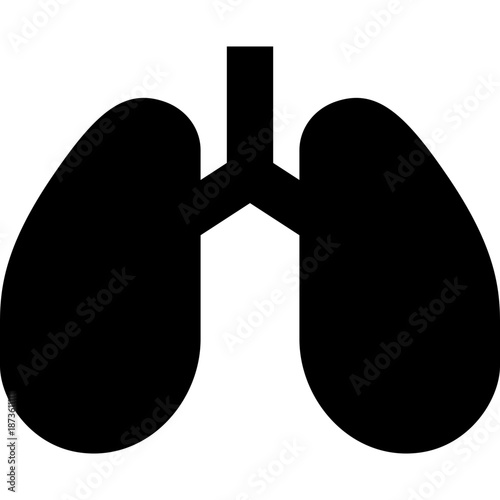 Human Lungs Icon