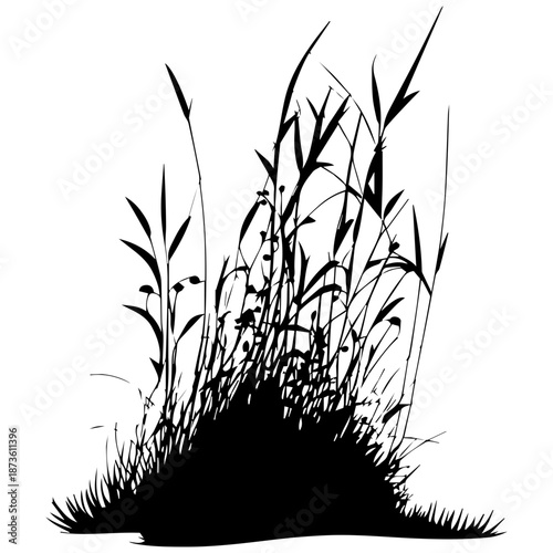 Dense Grass Scrub Vector