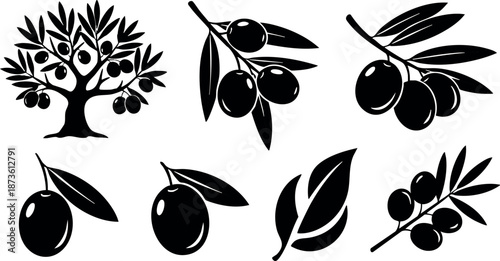 Olive tree and olive branch vector icons black silhouette simple design for natural food and agriculture concept