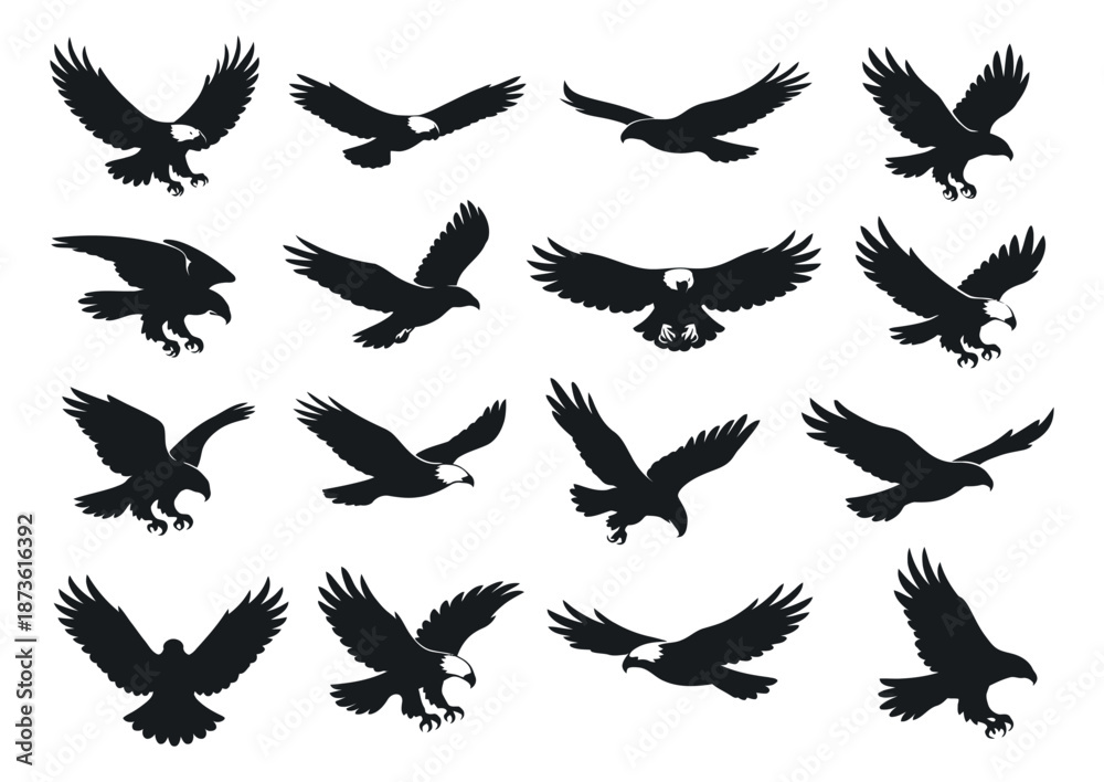 Obraz premium Stylized graphic eagle set featuring birds of prey in various flight poses for heraldry and emblem designs
