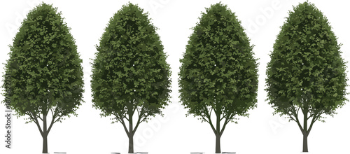 Realistic green trees vector illustration set isolated on white background natural forest landscaping elements for park garden design usage projects