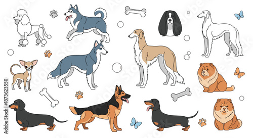 Large collection of different dog breed illustrations including poodle, husky, german shepherd, dachshund, and chow chow with bones.