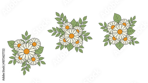 Set of three charming daisy flower bouquets arranged with green leaves shown on a white background for floral decoration.