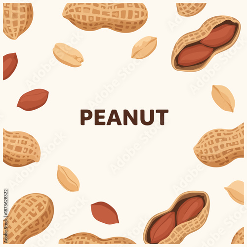 Peanuts Groundnuts in Shell and Peeled Vector Illustration