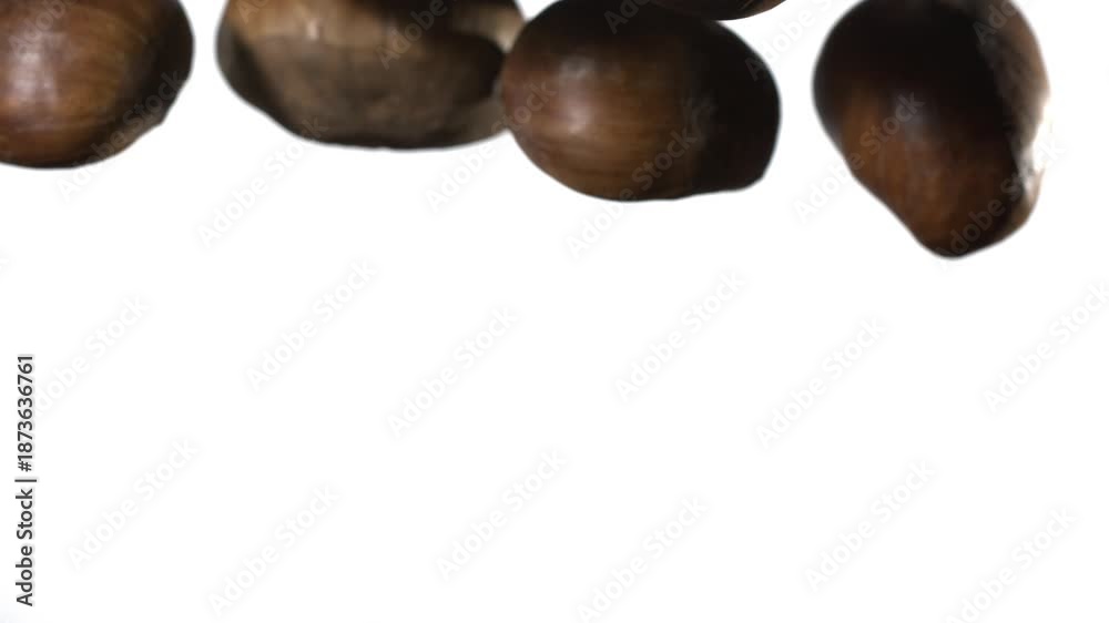 custom made wallpaper toronto digitalSuper slow motion Bulk food package presentation featuring scattered bunch of chestnuts with textured shells