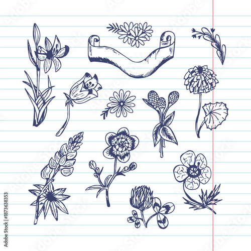 set of hand drawn doodle flowers in ballpoint pen