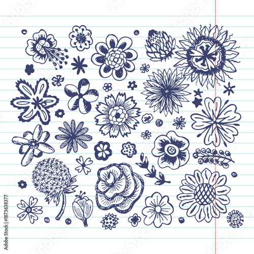 collection  of hand drawn doodle flowers in ballpoint pen