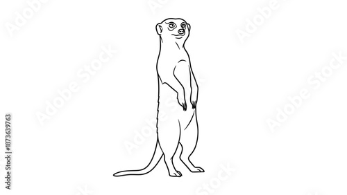 Detailed Line Art of a Standing Meerkat, Suitable for Educational Purposes or Coloring Books