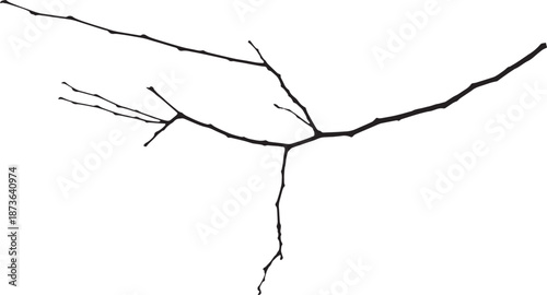 Minimal bare tree branch silhouette with thin twigs on white background. Simple black botanical line with delicate natural form. Ideal for abstract nature concepts, minimalist designs, and decorative 