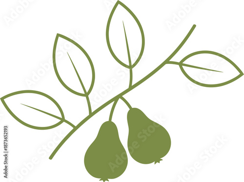 Two green pears on a branch with leaves. Botanical fruit harvest and natural food concept. Flat vector illustration for app icon, logo design
