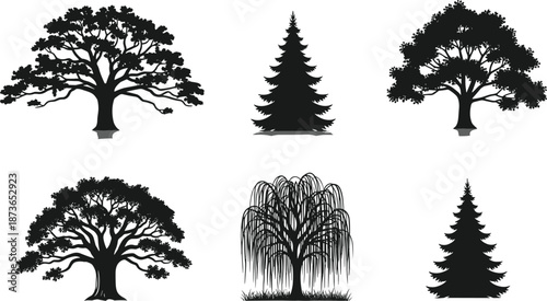 Collection of detailed tree silhouettes featuring oak, pine, and willow shapes, natural forest elements, botanical illustration set for landscape design