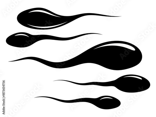 Microscopic view of three different sperm cells illustrating reproductive biology