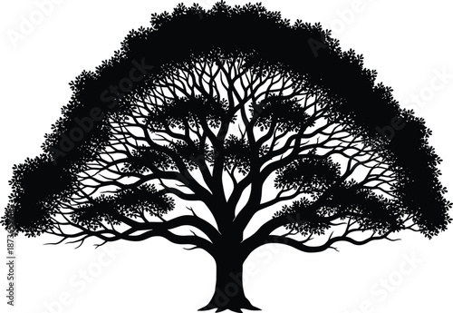 Detailed black silhouette of a large spreading oak tree with dense foliage and intricate branches isolated on white background, nature vector illustration set.